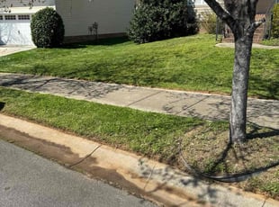 Srikanth K.'s grass maintenance service result