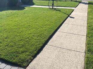 Emily S.'s lawn care services service result