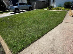 Rebeca B.'s grass maintenance service result