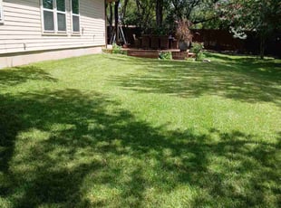 Lloyd O.'s turf care service result