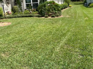 James S.'s lawn service service result