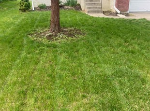 Jacob N.'s lawn care service result