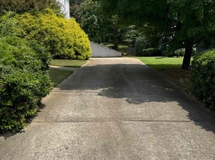 Karen S.'s turf maintenance service result