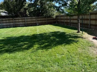 Jason S.'s turf care service result