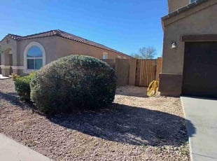 Mr. D.'s Bush Trimming service result