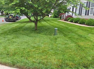 Paul D.'s lawn service service result