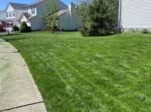 Susan S.'s lawn care service result
