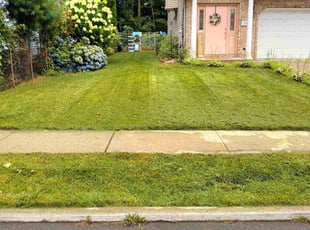 Audrey O.'s turf maintenance service result
