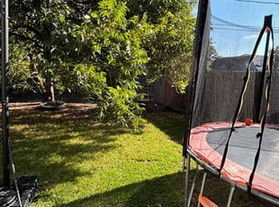 Vicki W.'s lawn care service result