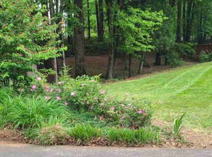 David L.'s lawn service service result