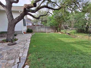 Cynthia A.'s turf care service result
