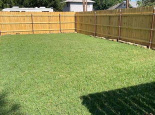 Viji S.'s landscaping service result