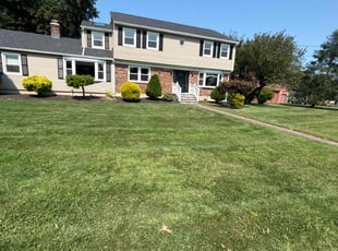 Lourdes A.'s lawn care services service result