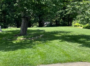 Ellen F.'s lawn care services service result