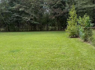 Tim G.'s lawn care services service result