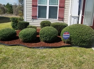 Leah D.'s Bush Trimming service result