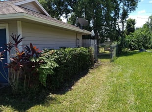 Kevin G.'s Bush Trimming service result