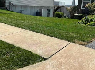 Carol W.'s turf care service result