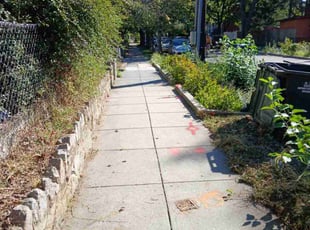 Jc C.'s grass maintenance service result