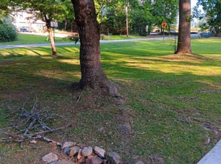 Ayla B.'s turf care service result