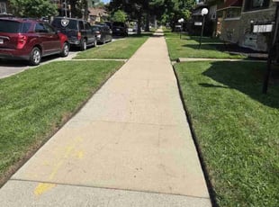 William I.'s grass maintenance service result