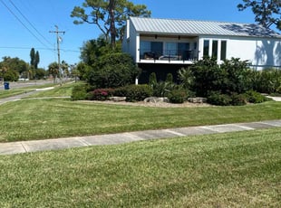 Roxann T.'s lawn care services service result