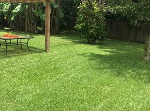 Celena R.'s lawn service service result