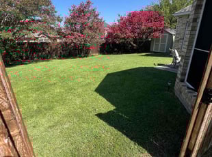 Stephen R.'s grass cutting service result