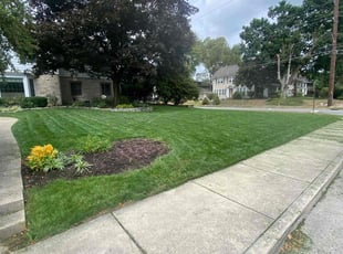 Crystal B.'s grass cutting service result
