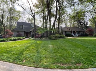 Ellen J.'s grass maintenance service result