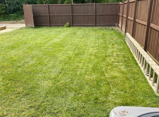 Matt H.'s lawn service service result