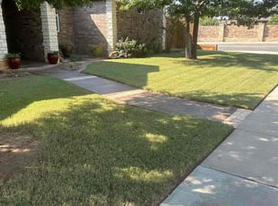 Sally C.'s grass cutting service result