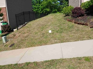 Lori T.'s grass cutting service result