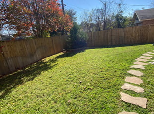 Norelie P.'s turf maintenance service result