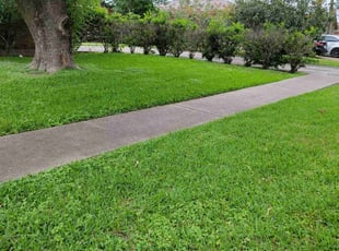 John P.'s lawn care services service result