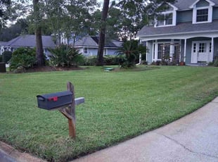 Richard G.'s lawn care services service result
