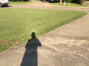 Steve S.'s grass maintenance service result