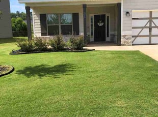 Todd R.'s grass cutting service result