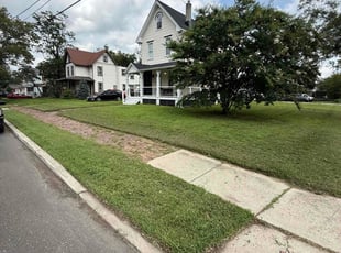 Patrick P.'s lawn service service result