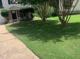 John S.'s turf maintenance service result