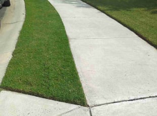 Krista C.'s turf maintenance service result