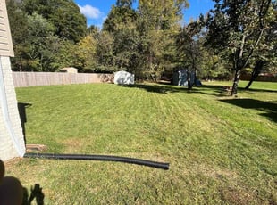 Rob A.'s turf care service result