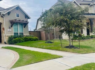 Leonila C.'s grass maintenance service result