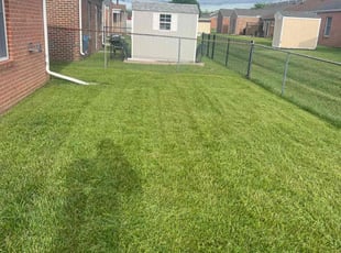 Charles A.'s turf care service result