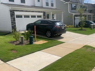 Pam L.'s grass cutting service result