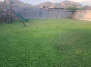 Jose R.'s grass cutting service result