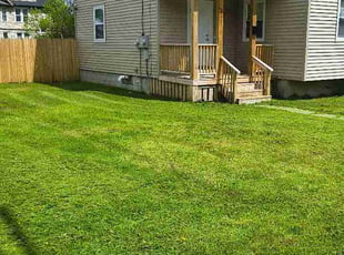 Richie L.'s lawn maintenance service result