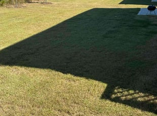 Alexandra D.'s lawn care service result