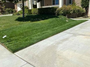 Marc R.'s grass maintenance service result