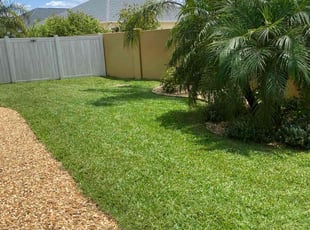 Tony F.'s lawn care service result